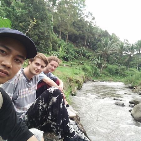 乌布Lionk Bali House住宿加早餐旅馆 外观 照片