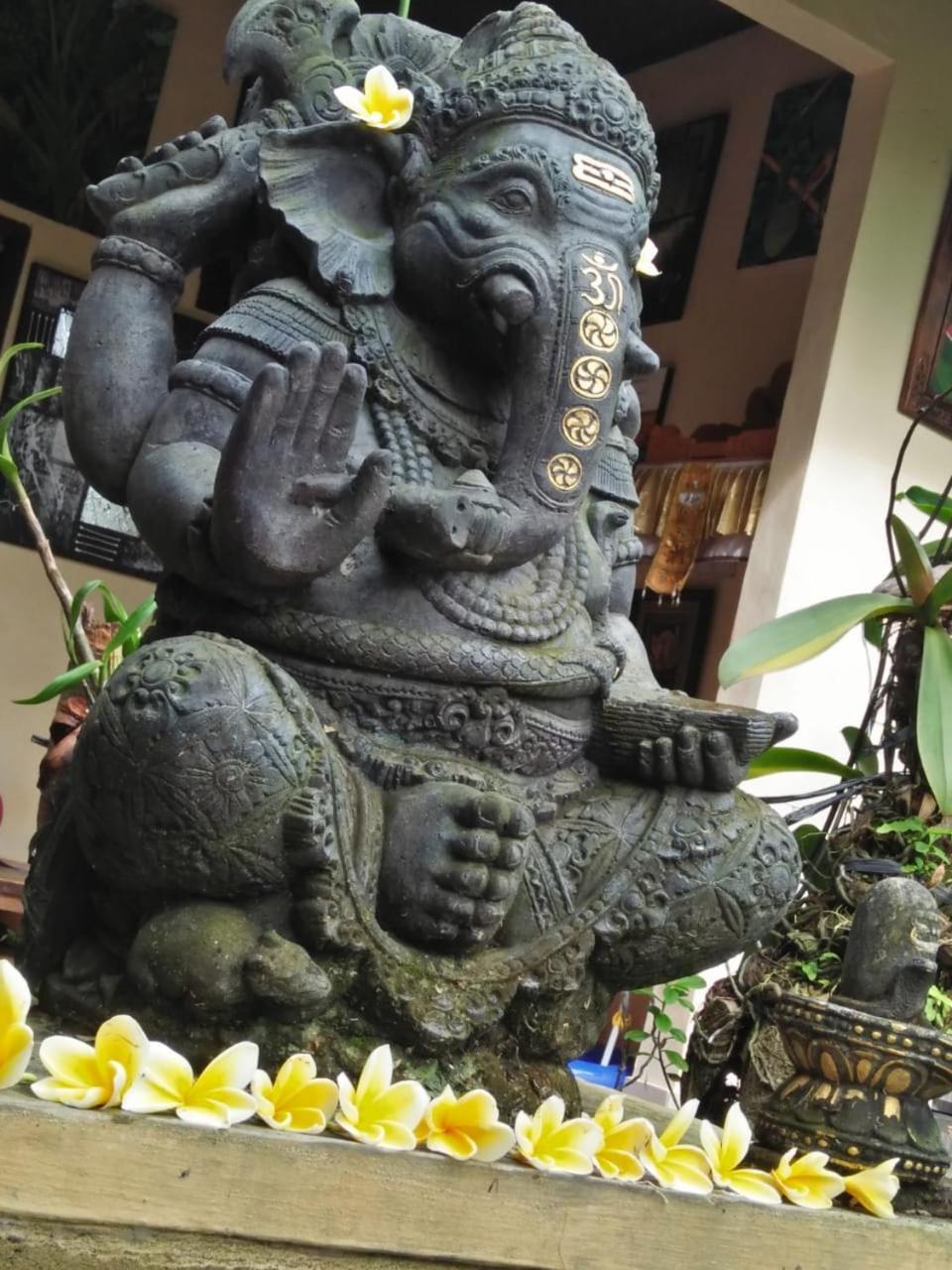乌布Lionk Bali House住宿加早餐旅馆 外观 照片