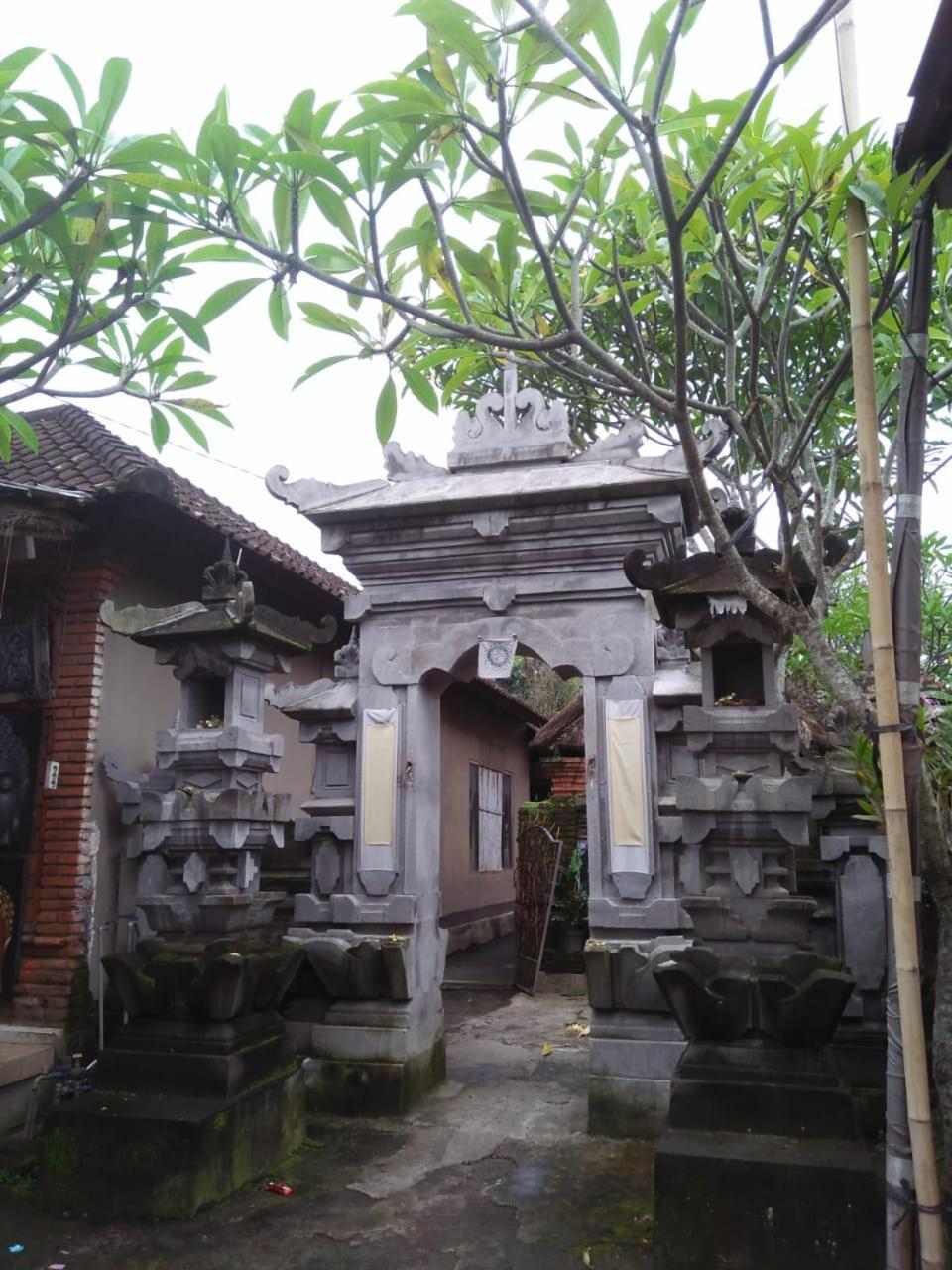 乌布Lionk Bali House住宿加早餐旅馆 外观 照片